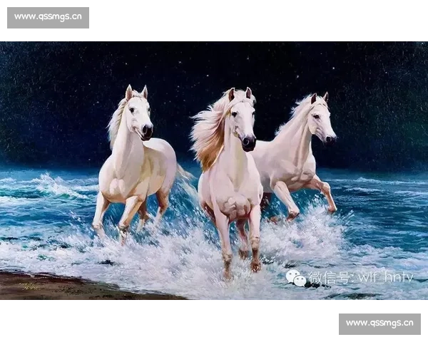 回顾武林风王洪祥职业生涯所有经典比赛全记录与巅峰时刻深度解析